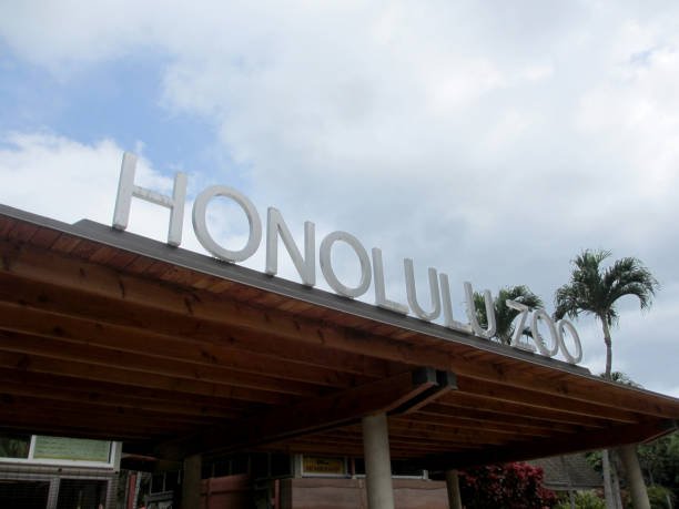 Canopy Mounted Channel Letters