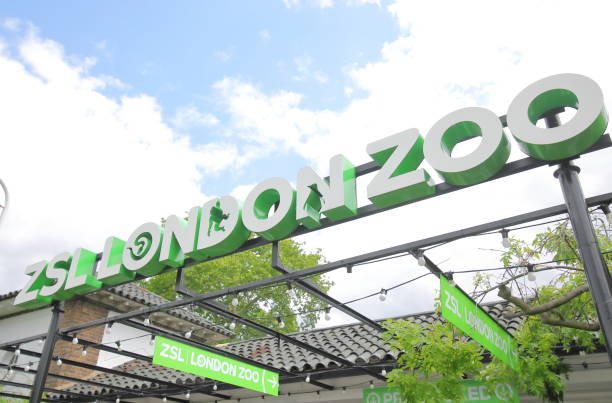 Canopy Mounted Channel Letters