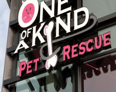 Commercial Sign Lighting