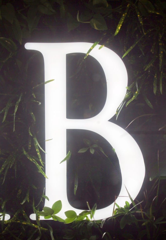 Custom Full Lit Letters