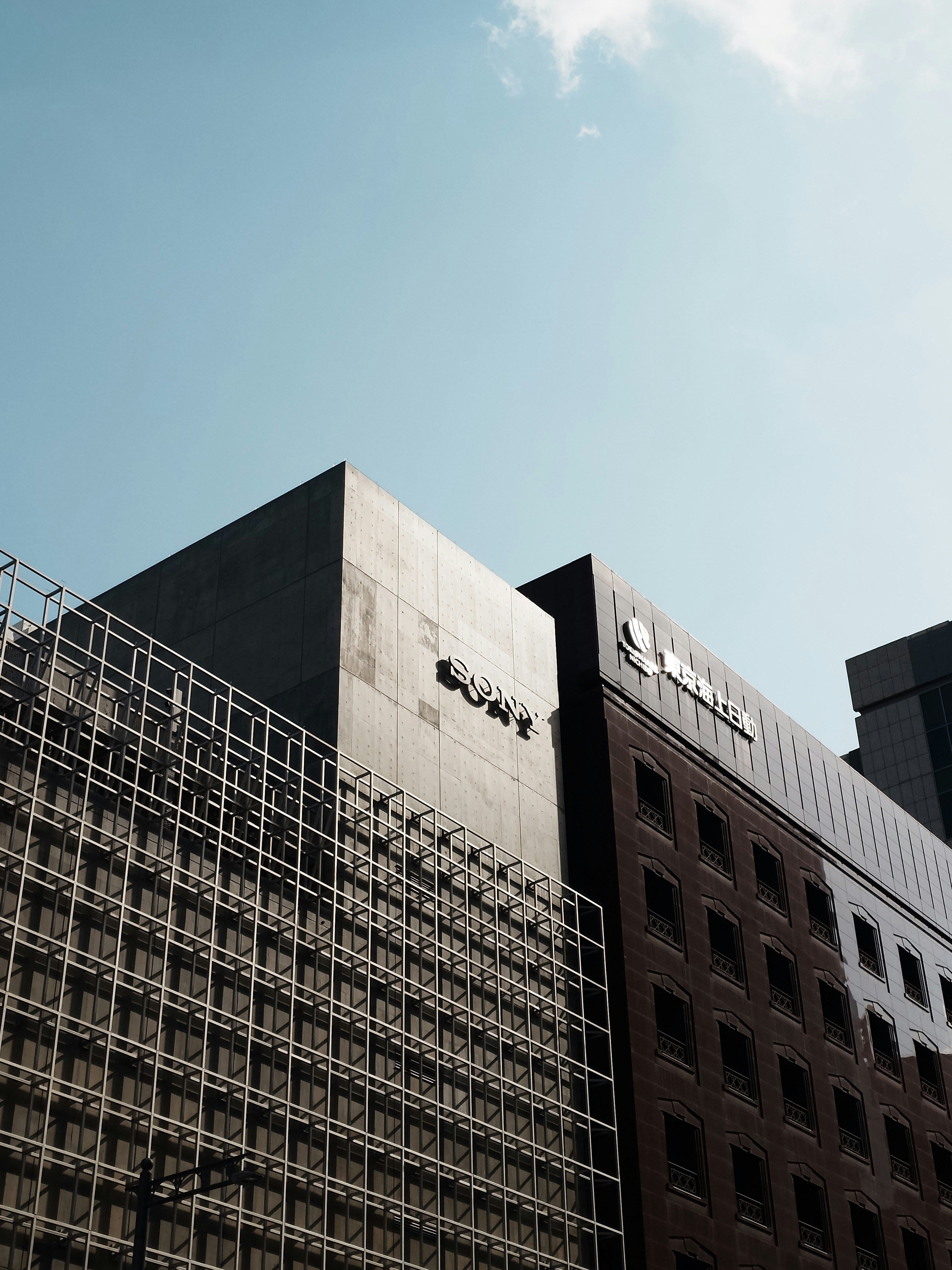 Daytime Business Signs