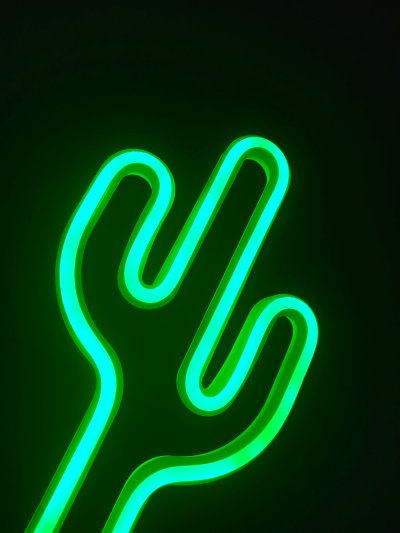 Custom LED Logo